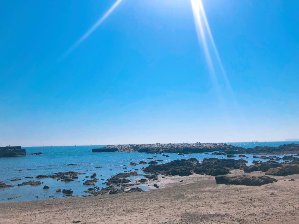 葉山へ海辺のドライブ日帰り旅 おすすめ絶景レストラン おしゃれカフェ Family Navi ファミリーナビ