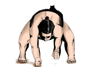 sumo-wrestling 相撲で力士が構えている